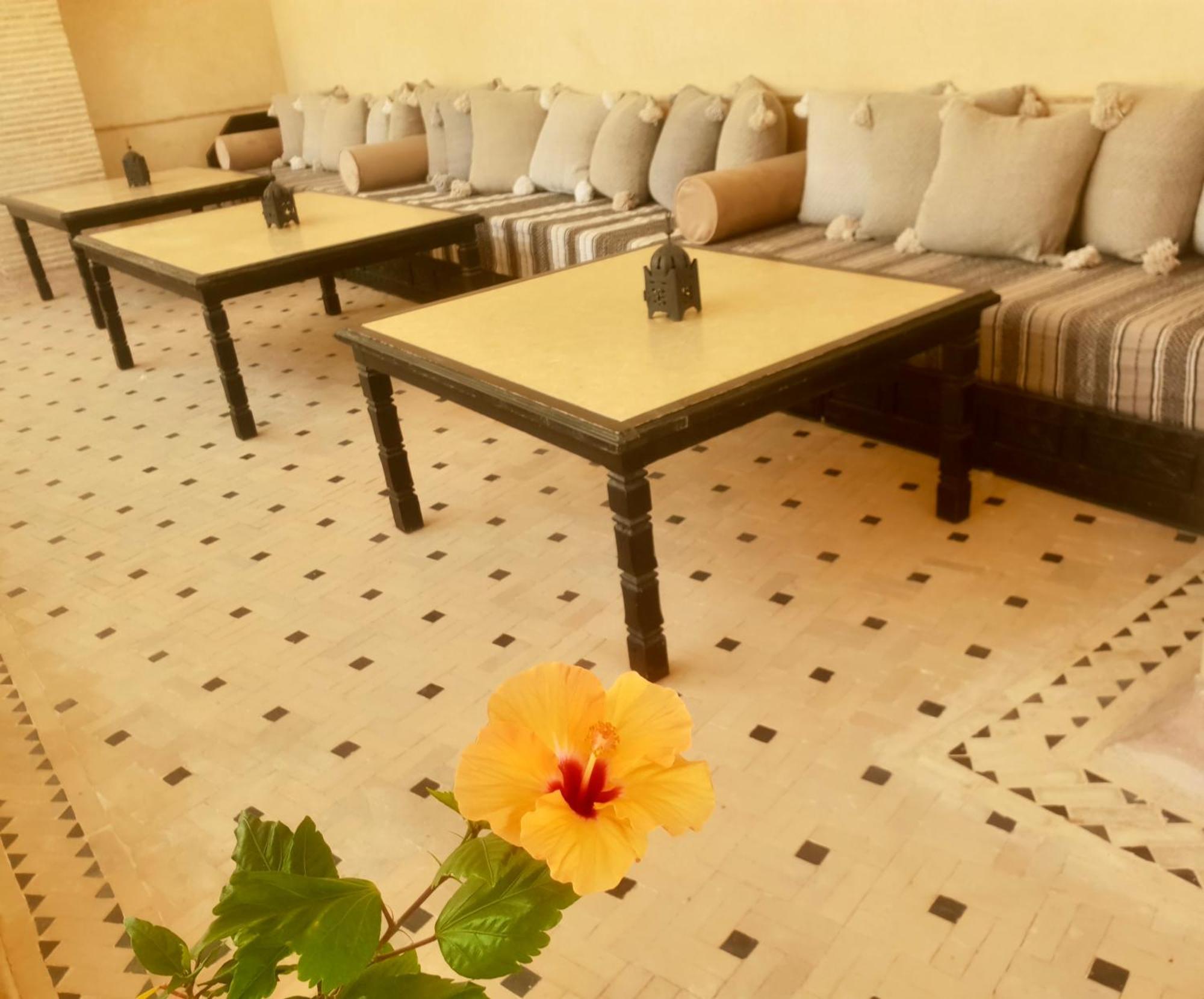 Riad Dar Haven Tamraght المظهر الخارجي الصورة