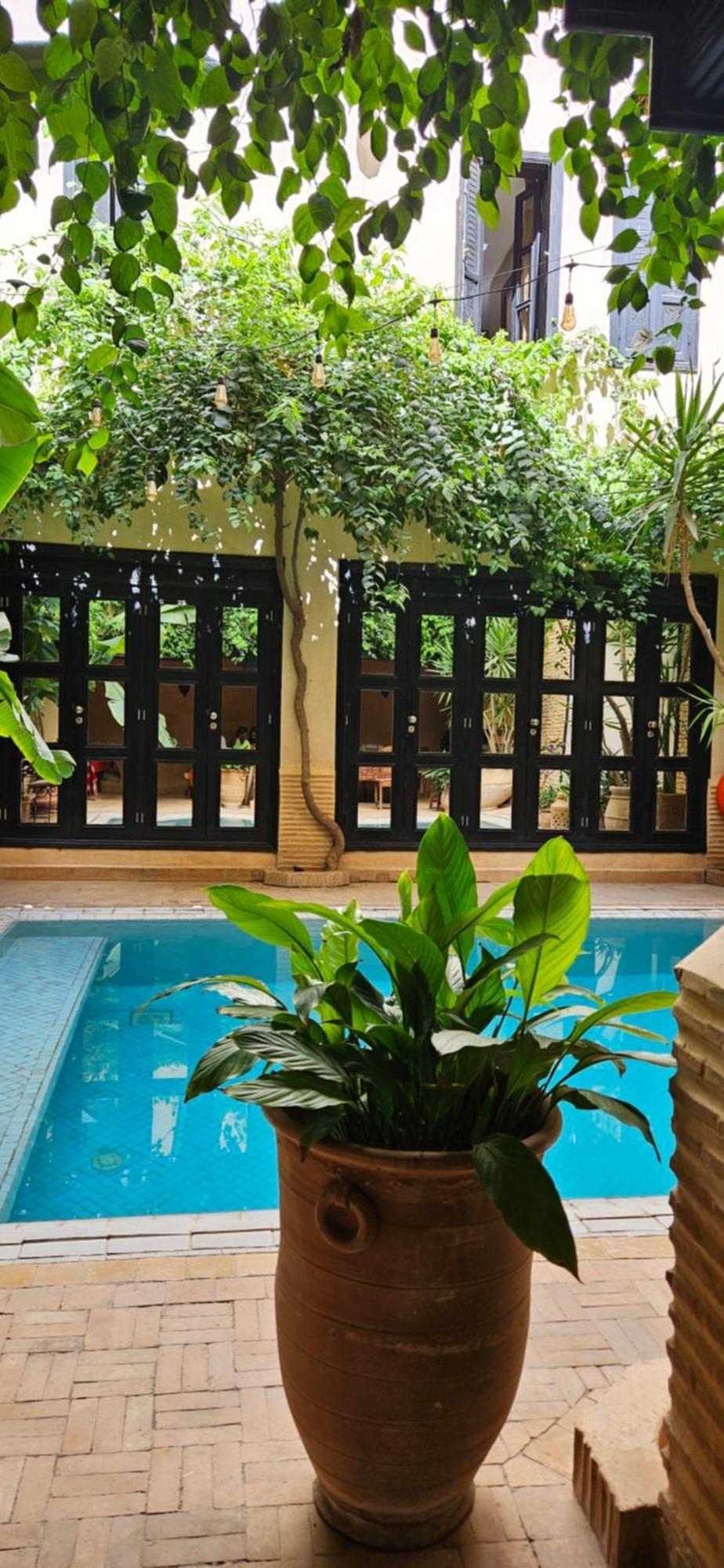 Riad Dar Haven Tamraght المظهر الخارجي الصورة